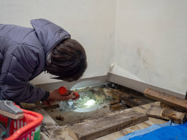 Best Water Damage & Mold Remediation  in Concord, NH