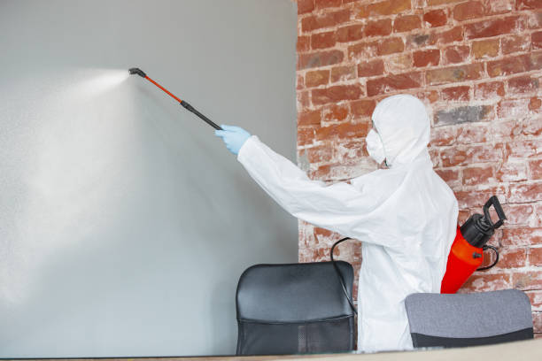 Best Mold Removal for HVAC Installations  in Concord, NH