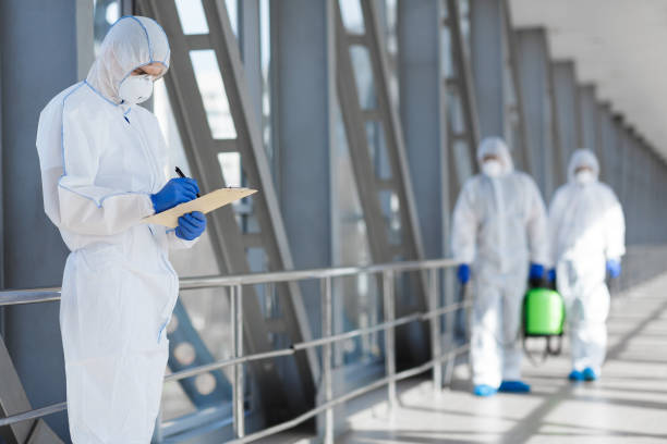 Best Mold-Related Health Consultation  in Concord, NH