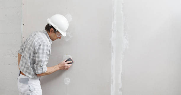 Best Real Estate Mold Inspection  in Concord, NH