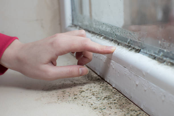 Best Indoor Air Quality Assessment  in Concord, NH