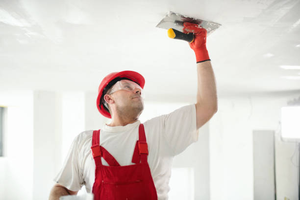 Best Mold Remediation for Rental Properties  in Concord, NH