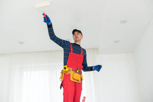 Best Commercial Mold Inspection  in Concord, NH