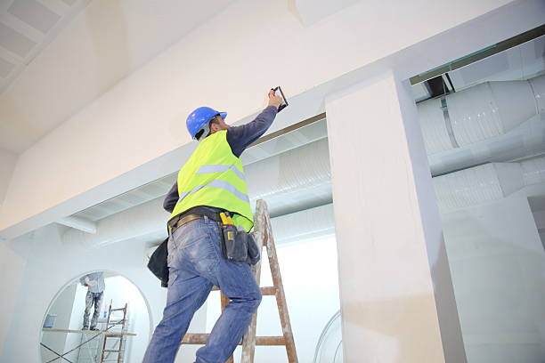 Best Mold Damage Restoration  in Concord, NH